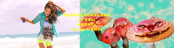 мдпв Лабытнанги