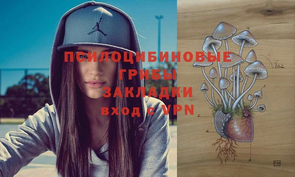 герыч Ладушкин