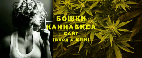 мдпв Лабытнанги